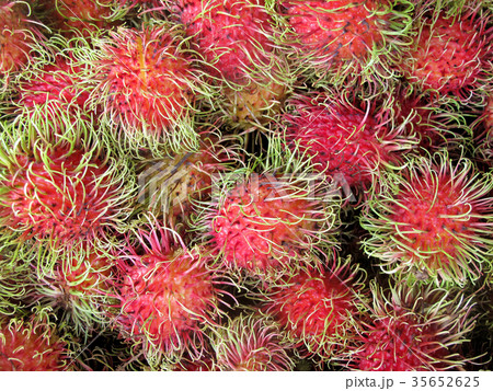 Rambutan, Nephelium Lappaceum, the lychee like 35652625