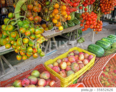 Peach palm fruits, Bactris Gasipaes, displayed 35652626