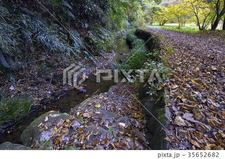 横浜市、秋の瀬上沢 35652682