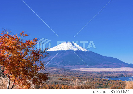 パノラマ台の紅葉と富士山 35653624