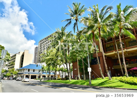 ハワイの休日 ハワイの休日 35653969