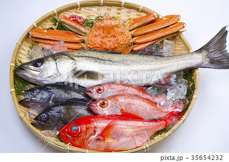 魚介類の盛り合わせ 食材 魚介類の盛り合わせ 食材 35654232