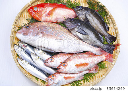 魚の盛り合わせ 食材 魚の盛り合わせ 食材 35654269