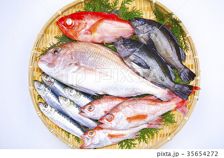 魚の盛り合わせ 食材 魚の盛り合わせ 食材 35654272