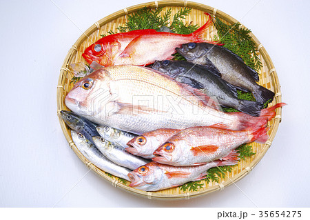 魚の盛り合わせ 食材 魚の盛り合わせ 食材 35654275