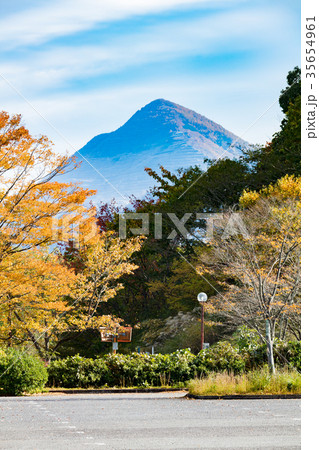 秩父ミューズパークの紅葉 35654961