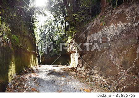 千葉県茂原市パワースポット 如意輪寺 散歩道 千葉県茂原市パワースポット 如意輪寺 散歩道 35655758