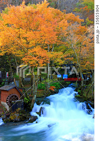 龍泉洞 岩手県岩泉町 龍泉洞 岩手県岩泉町 35655904