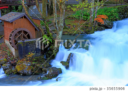 龍泉洞 岩手県岩泉町 龍泉洞 岩手県岩泉町 35655906