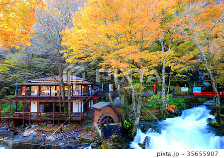 龍泉洞 岩手県岩泉町 龍泉洞 岩手県岩泉町 35655907