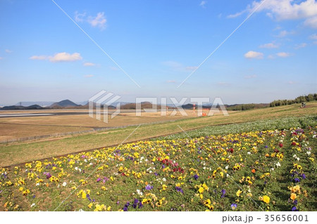 冬の公園と滑走路 冬の公園と滑走路 35656001