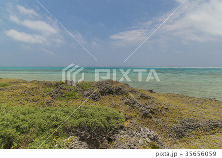 黒島灯台付近の海岸 黒島灯台付近の海岸 35656059
