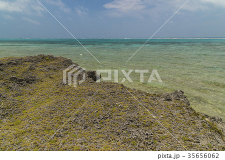 黒島灯台付近の海岸  35656062