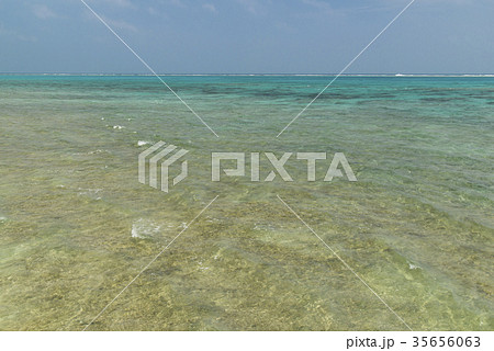 黒島灯台付近の海岸  35656063