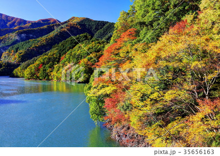 紅葉の奥多摩湖 35656163