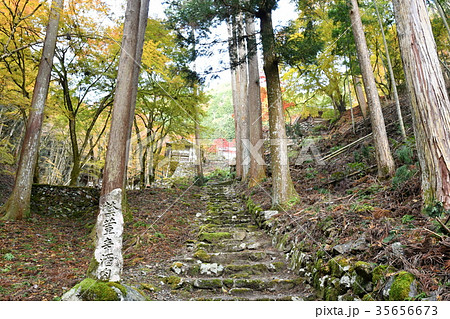 古知谷 阿弥陀寺 古知谷 阿弥陀寺 35656673
