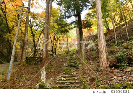 古知谷阿弥陀寺 35656881