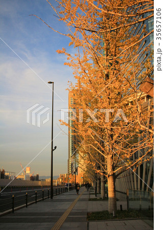 Grand Front Osaka is a complex located 35657106