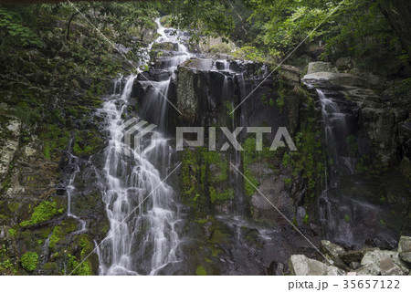 滝 無等山 自然 35657122