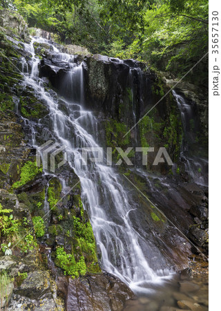 滝 無等山 自然 35657130