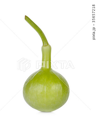 Calabash, Bottle Gourd on white background Calabash, Bottle Gourd on white background 35657218