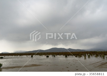 屋外 室外 韓国 35658811