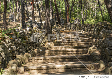 季節 木 森 35658898