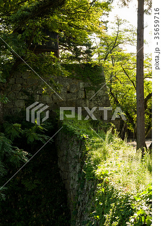 鶴ヶ城　鐘撞堂と石垣 35659716