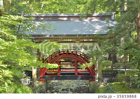 弥彦神社 玉ノ橋 御手洗川 弥彦神社 玉ノ橋 御手洗川 35659868