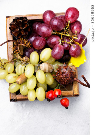 Autumn still life with grapes. 35659968