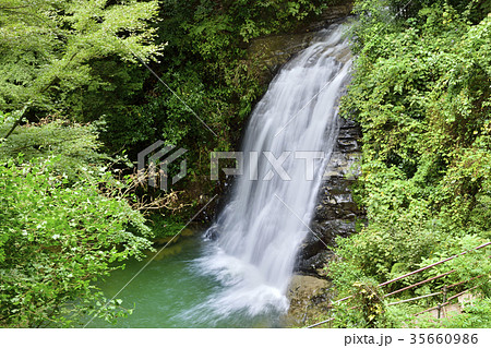 幻の滝 養老渓谷 幻の滝 養老渓谷 35660986