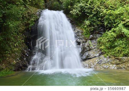 幻の滝　養老渓谷 35660987