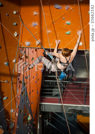 Female climber is climbing up on indoor rock-climbing wall 35662592