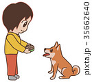 ごはんを待つ犬　ごはんをあげる女性 35662640