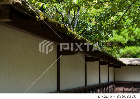 鶴ヶ城　茶室の塀 35663320