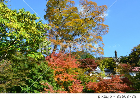 秋の英彦山 紅葉の風景 秋の英彦山 紅葉の風景 35663778