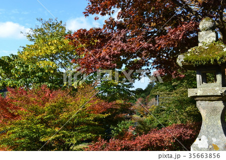秋の英彦山 紅葉の風景 秋の英彦山 紅葉の風景 35663856