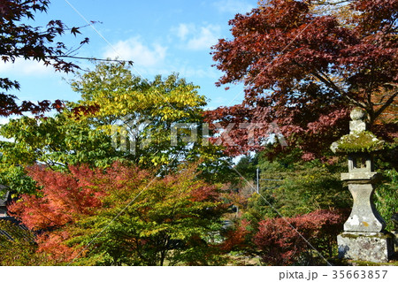 秋の英彦山　紅葉の風景 35663857