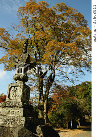 秋の英彦山 紅葉の風景 秋の英彦山 紅葉の風景 35663911