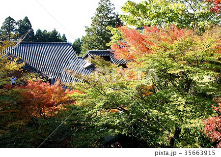 秋の英彦山　紅葉の風景 35663915