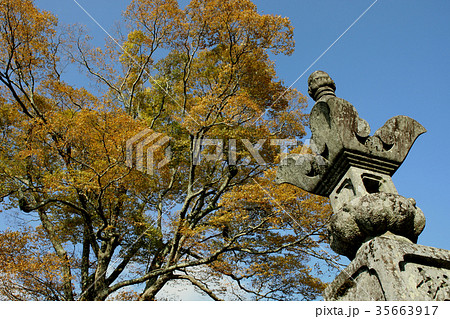 秋の英彦山 紅葉の風景 秋の英彦山 紅葉の風景 35663917