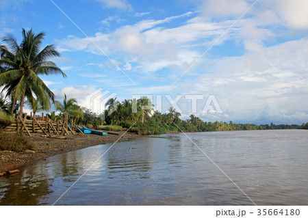 Traditional fishing boats, Cayapas River 35664180