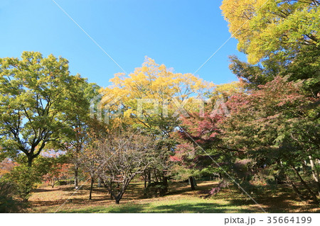 秋の公園 35664199