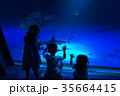 水族館で魚を鑑賞する家族 35664415