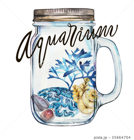 Word-aquarium. Compositions Seaweed sea life and Word-aquarium. Compositions Seaweed sea life and 35664704