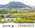 green field and  mountains background 35664820