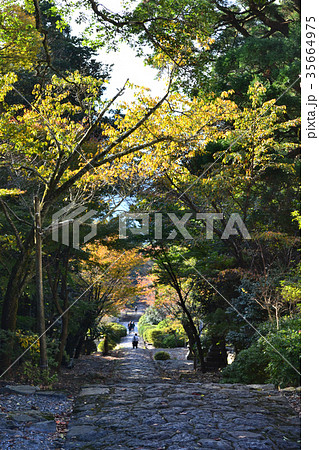 秋の英彦山 紅葉の風景 秋の英彦山 紅葉の風景 35664975