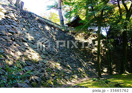 唐沢山城跡 石垣 唐沢山城跡 石垣 35665762