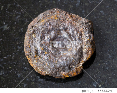 rough lake iron ore coin type (limonite) on dark rough lake iron ore coin type (limonite) on dark 35666241