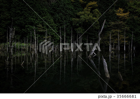 山口県下関市豊田町一の俣桜公園の写真素材